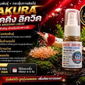 bee max super bacteria sakura