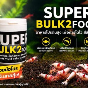 super energy shrimp food