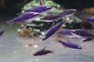 img 7471