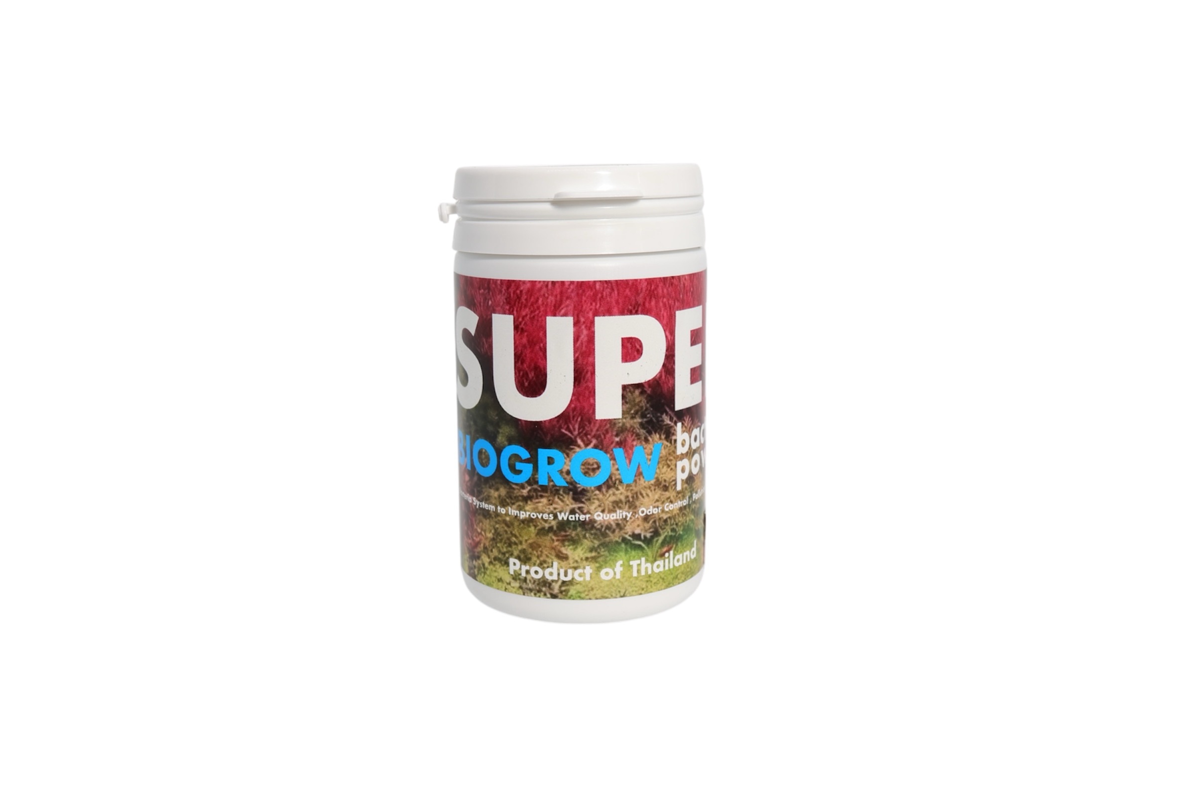 photoroom_25680211_085253 super psb