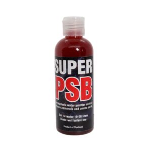 super psb